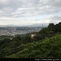 柑子坑山未遇.阿泉坑山.樟湖山.樟山寺 069.JPG