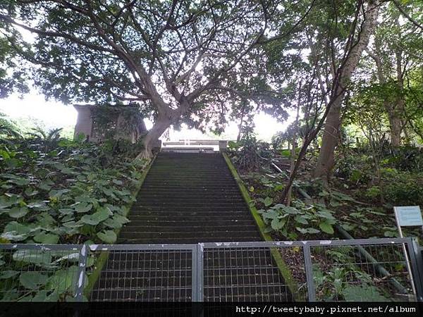 水管路步道.香鄉美墨西餐廳 007.JPG