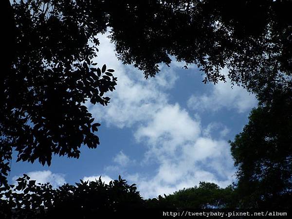 水管路步道.香鄉美墨西餐廳 037.JPG