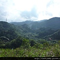 大前坑山.猴山坑山.枕頭山.金頭山.金頭山西峰.魚衡山南峰.魚衡山 017.JPG