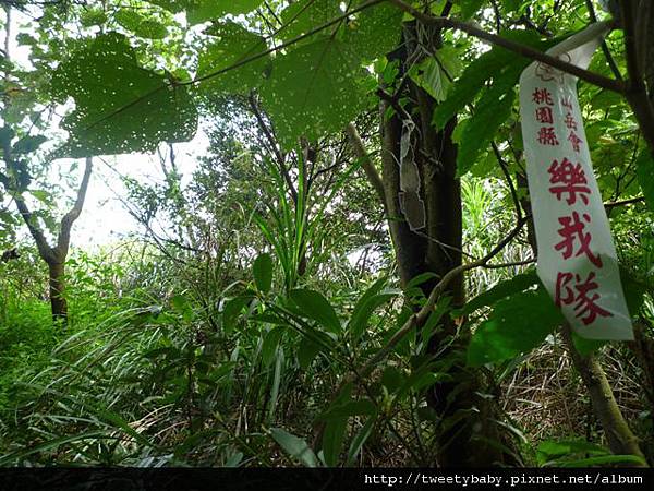 新外社山.大邊屋山 048.JPG