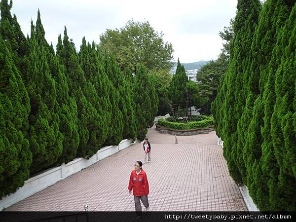 三角埔頂山 015.JPG