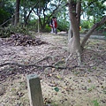三角埔頂山 053.JPG