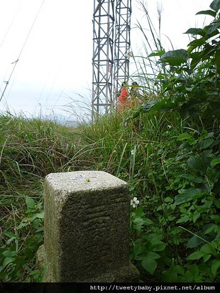 三角埔頂山 189.JPG