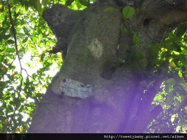 深坑摸魚行 009.JPG