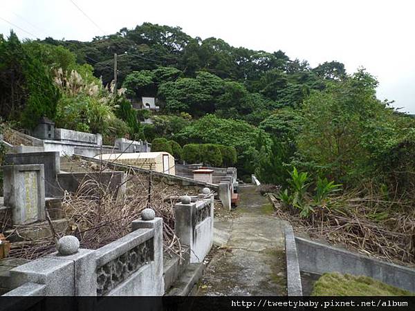 三張犁山 023.JPG