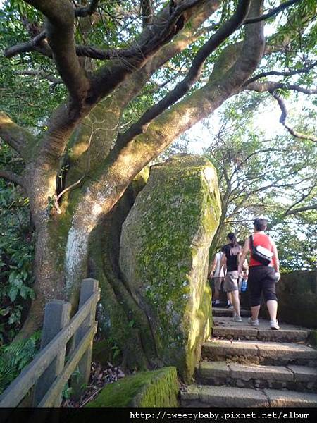 象山下班三人行 010.JPG