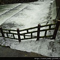 友蚋生態園區.蘭泰泰式料理 034.JPG