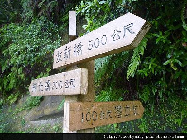 友蚋生態園區.蘭泰泰式料理 058.JPG