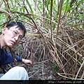 三腳木山.豐田派出所基點.圳沽古道.風動石聖宮 038.JPG