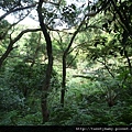 三腳木山.豐田派出所基點.圳沽古道.風動石聖宮 047.JPG