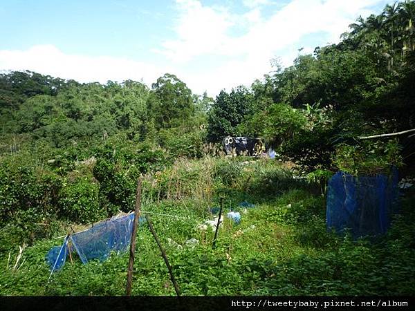 三腳木山.豐田派出所基點.圳沽古道.風動石聖宮 050.JPG