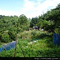 三腳木山.豐田派出所基點.圳沽古道.風動石聖宮 050.JPG