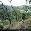 三腳木山.豐田派出所基點.圳沽古道.風動石聖宮 107.JPG