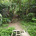 馬頭厝山.大棟山.新嶺山步道.大湖頂山.大棟尾山.一貫道忠恕道院 068.JPG