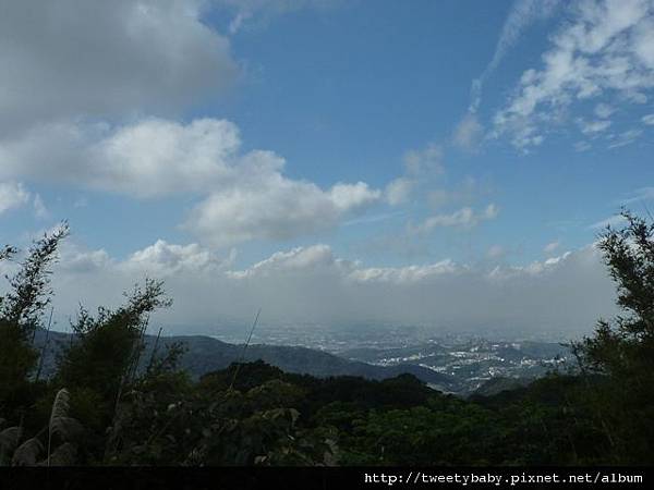 馬頭厝山.大棟山.新嶺山步道.大湖頂山.大棟尾山.一貫道忠恕道院 081.JPG