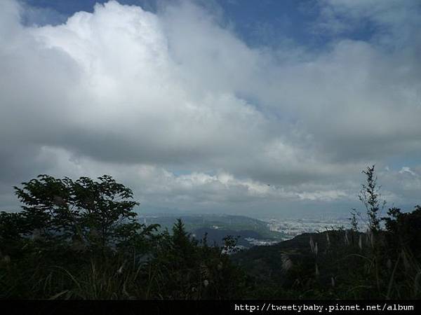 馬頭厝山.大棟山.新嶺山步道.大湖頂山.大棟尾山.一貫道忠恕道院 082.JPG