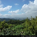 馬頭厝山.大棟山.新嶺山步道.大湖頂山.大棟尾山.一貫道忠恕道院 094.JPG