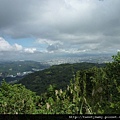 馬頭厝山.大棟山.新嶺山步道.大湖頂山.大棟尾山.一貫道忠恕道院 095.JPG