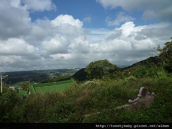 馬頭厝山.大棟山.新嶺山步道.大湖頂山.大棟尾山.一貫道忠恕道院 104.JPG