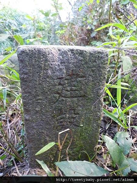 馬頭厝山.大棟山.新嶺山步道.大湖頂山.大棟尾山.一貫道忠恕道院 116.JPG