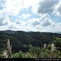 馬頭厝山.大棟山.新嶺山步道.大湖頂山.大棟尾山.一貫道忠恕道院 141.JPG