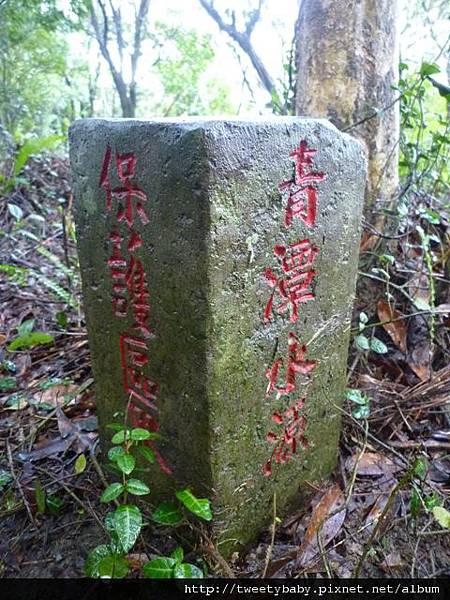 風露嘴山.獵狸尖 021.JPG