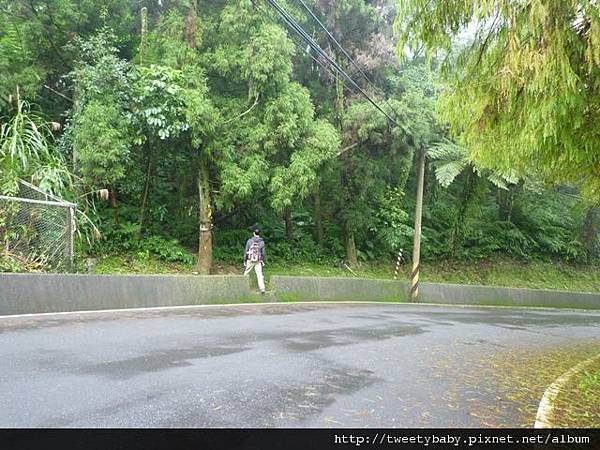 雲海國小.十三股山.粗坑崙.埤腹山 077.JPG