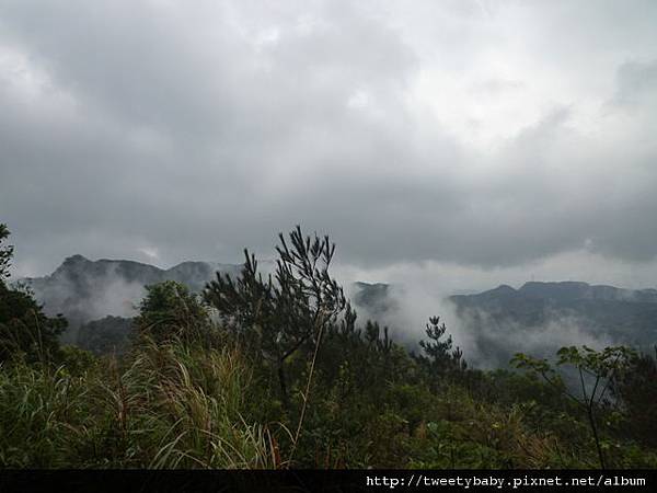 雲海國小.十三股山.粗坑崙.埤腹山 085.JPG