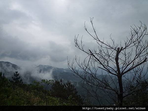 雲海國小.十三股山.粗坑崙.埤腹山 094.JPG