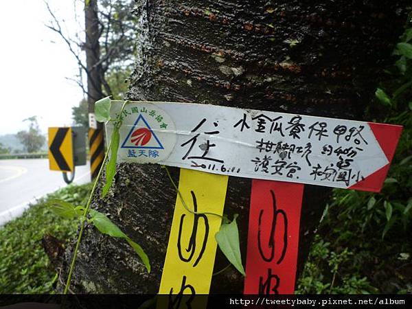 雲海國小.十三股山.粗坑崙.埤腹山 099.JPG