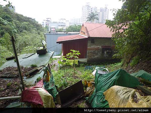 柑子坑山未竟.指南山 047.JPG