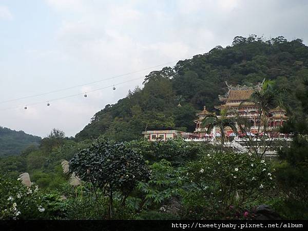 柑子坑山未竟.指南山 059.JPG