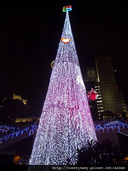 新北市政府聖誕樹 025.JPG