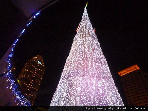 新北市政府聖誕樹 050.JPG