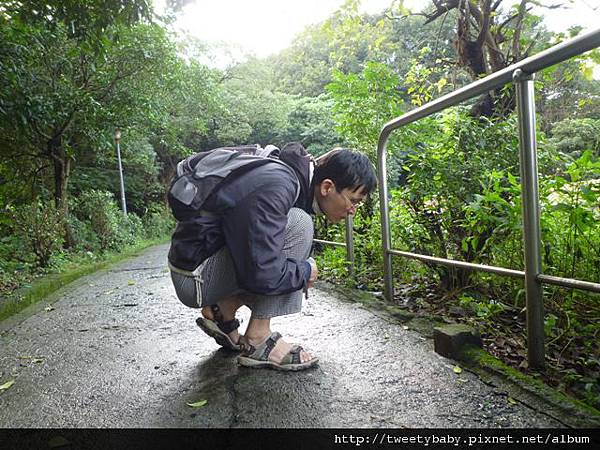 中南山.十三分尾山.獅形山未竟 007.JPG