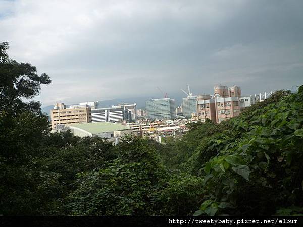 中南山.十三分尾山.獅形山未竟 035.JPG