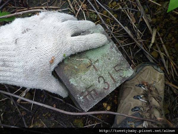 福山.獅形山 057.JPG