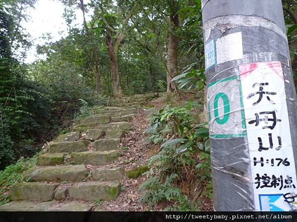 天母山.大屯山三基點.拔子埔山.石角基點 015.JPG