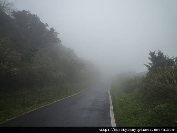 天母山.大屯山三基點.拔子埔山.石角基點 048.JPG