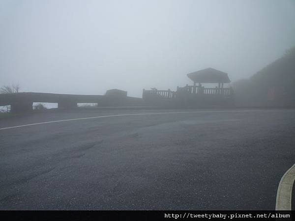 天母山.大屯山三基點.拔子埔山.石角基點 049.JPG