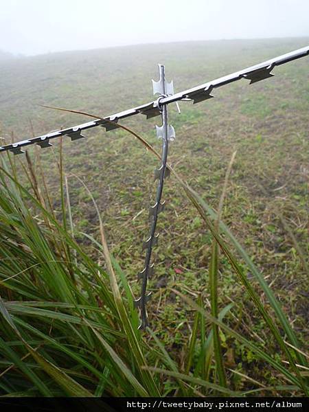 天母山.大屯山三基點.拔子埔山.石角基點 081.JPG