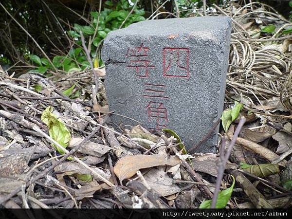 天母山.大屯山三基點.拔子埔山.石角基點 129.JPG