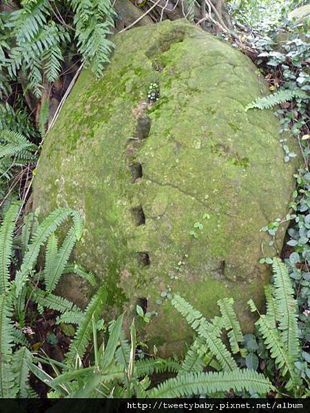 尖山.尖山東南峰.尖山東北峰 070.JPG