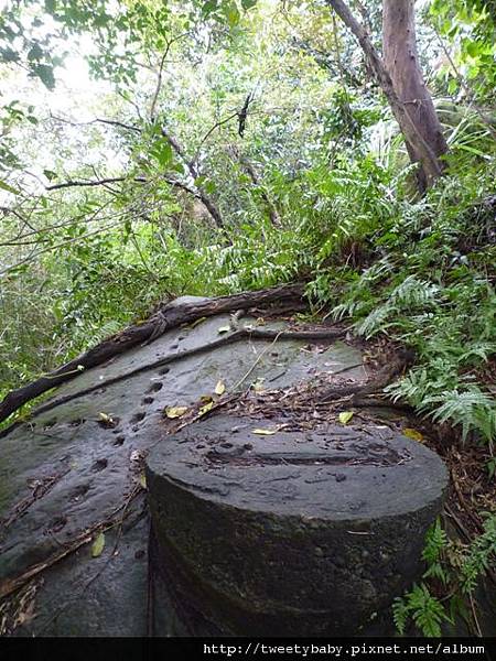 尖山.尖山東南峰.尖山東北峰 083.JPG