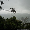 冷飯坑古道.冷飯坑山.楓子林山 071.JPG