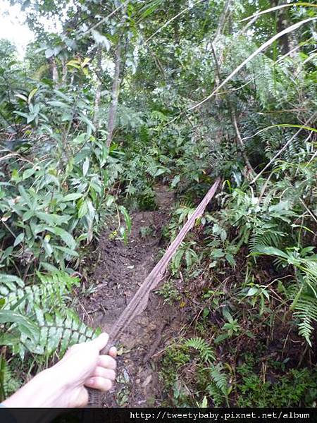 雙港子山 045.JPG