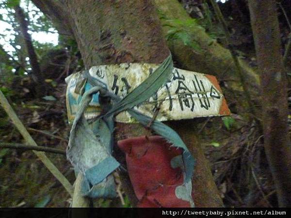 雙港子山 079.JPG