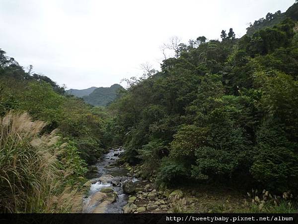 雙港子山尋小藍 037.JPG