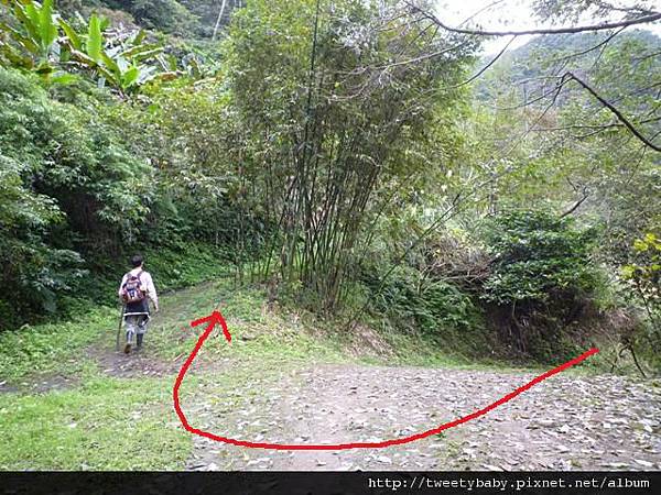 雙港子山尋小藍 112.JPG